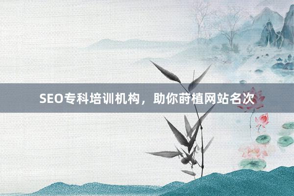 SEO专科培训机构，助你莳植网站名次